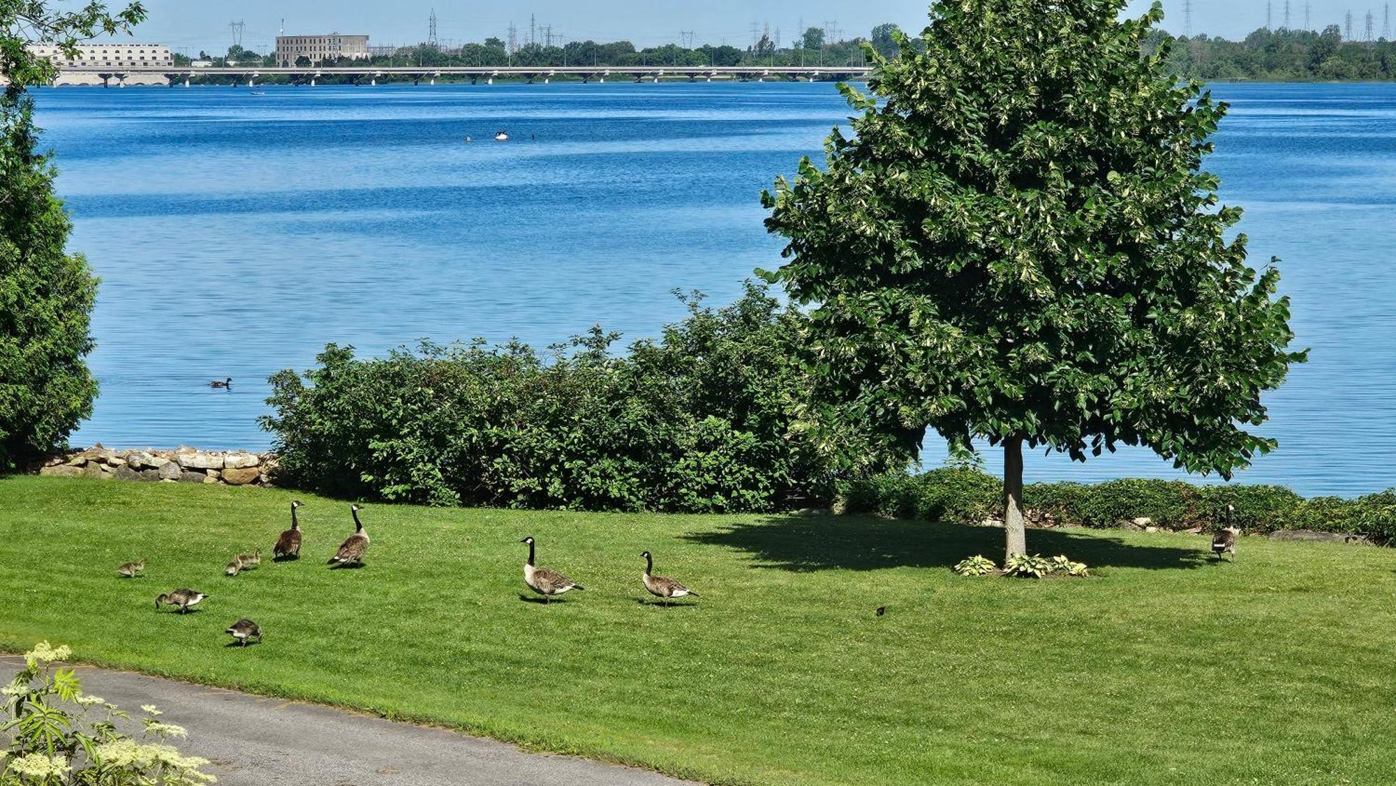 Hotel Oasis Lac St-Louis サラベリ・ド・ヴァレフィルド エクステリア 写真